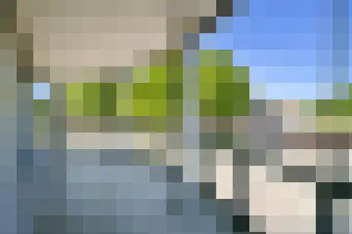 Kempenlaan 3 Amsterdam thumbnail 10