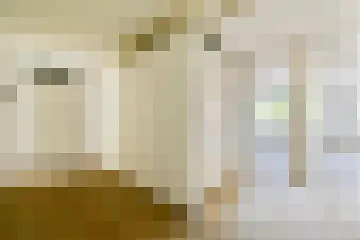 Kempenlaan 3 Amsterdam thumbnail 12