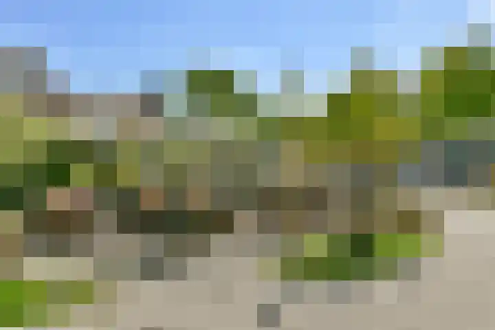 Kempenlaan 3 Amsterdam thumbnail 23