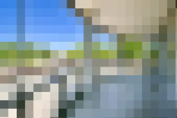Kempenlaan 3 Amsterdam thumbnail 4