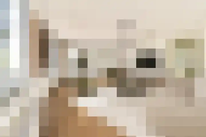 Kempenlaan 3 Amsterdam thumbnail 5