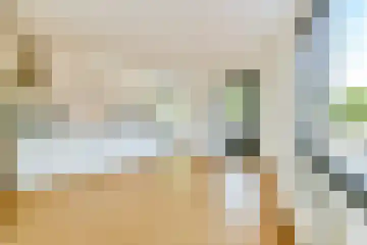 Kempenlaan 3 Amsterdam thumbnail 7