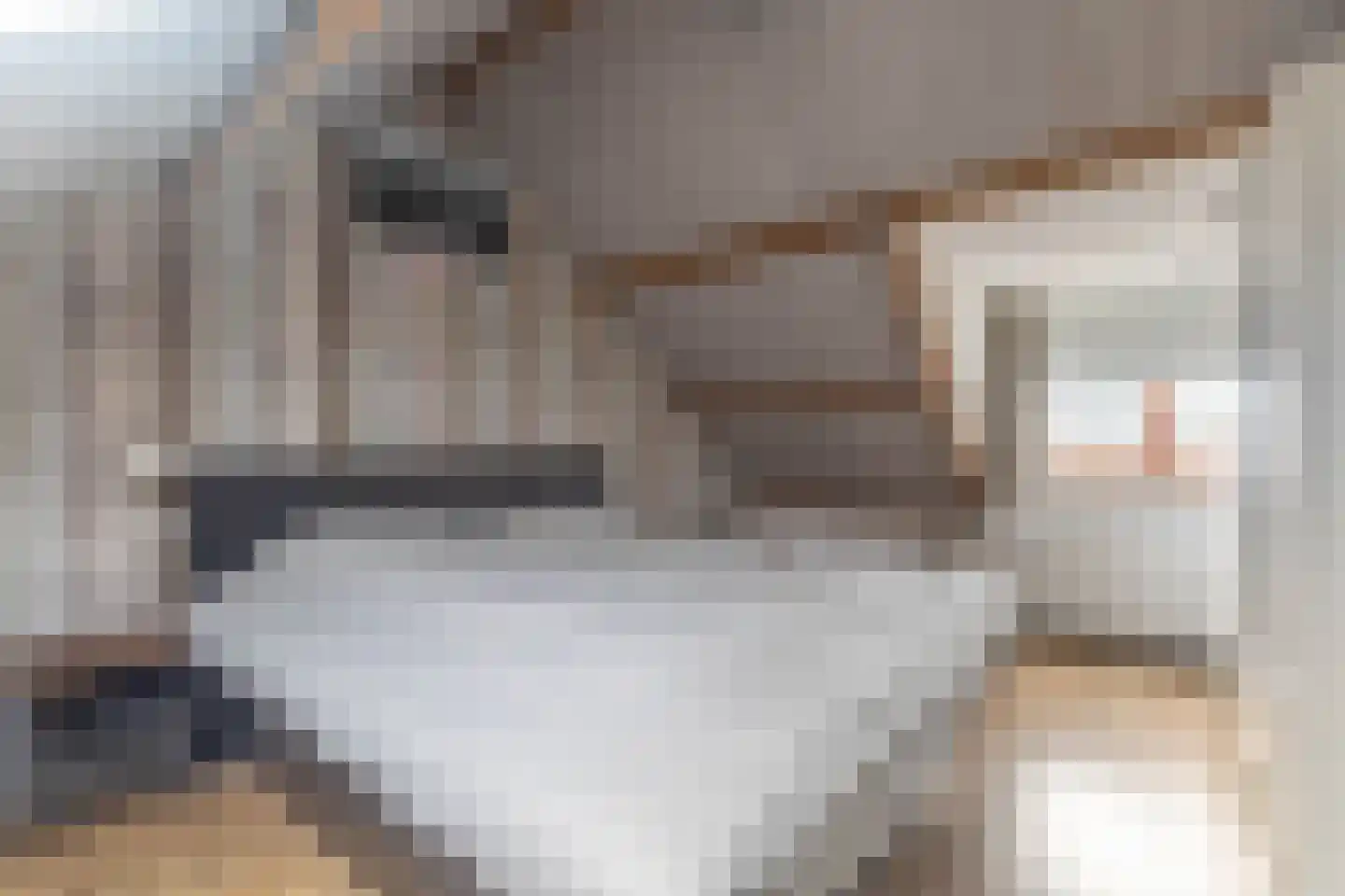 Kempenlaan 3 Heemskerk thumbnail 32