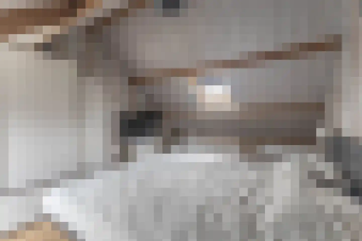 Kempenlaan 3 Heemskerk thumbnail 33