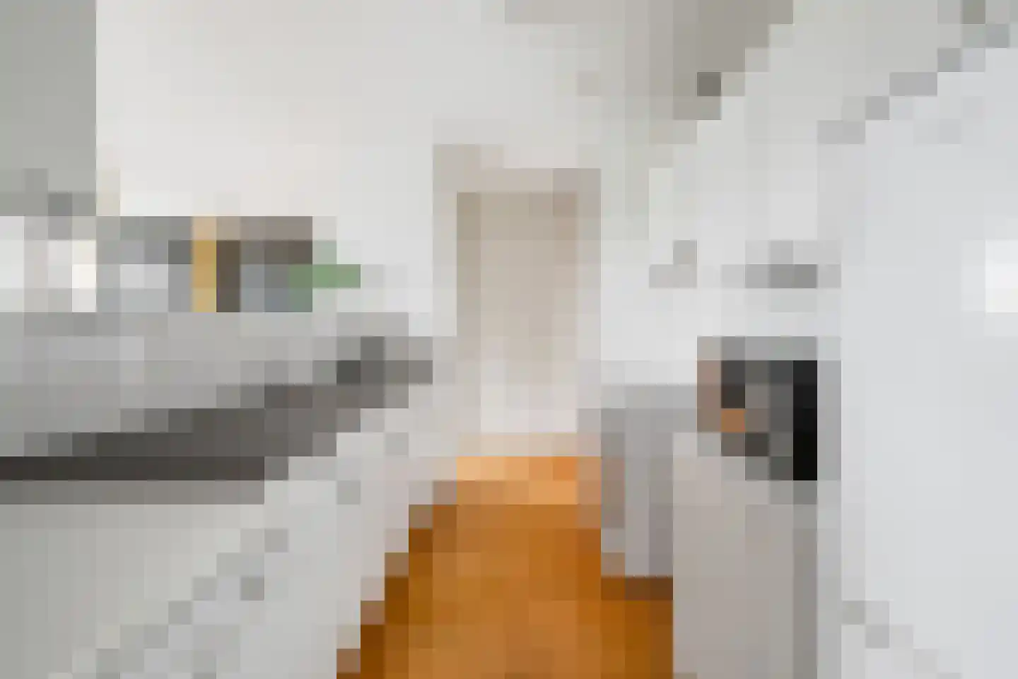 Kempenlaan 31 Amsterdam thumbnail 22