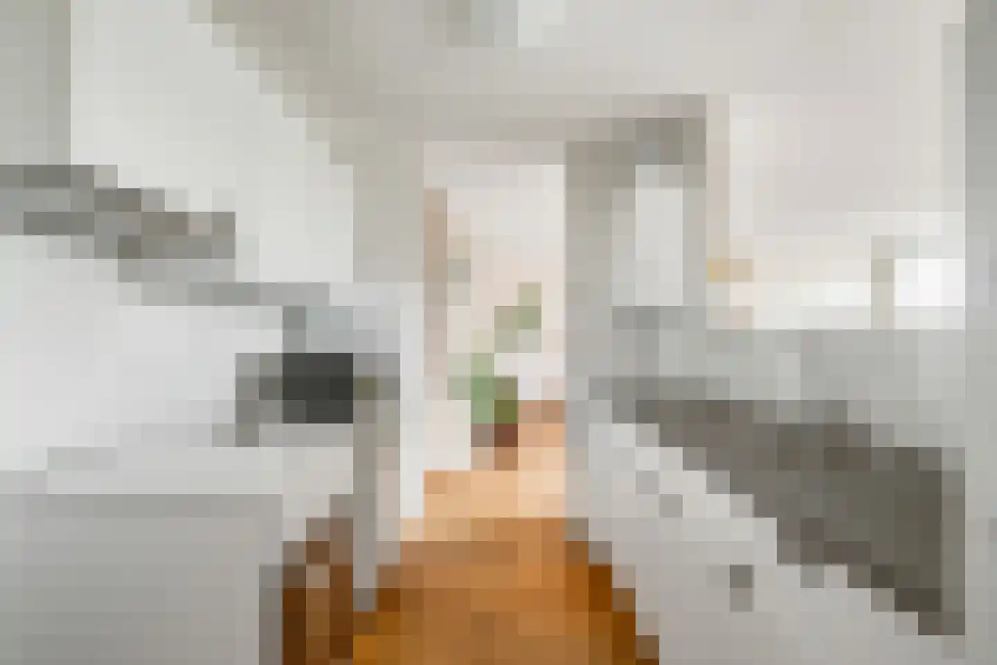 Kempenlaan 31 Amsterdam thumbnail 23