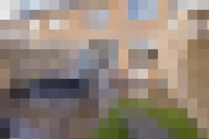 Kempenlaan 5 Heemskerk thumbnail 40