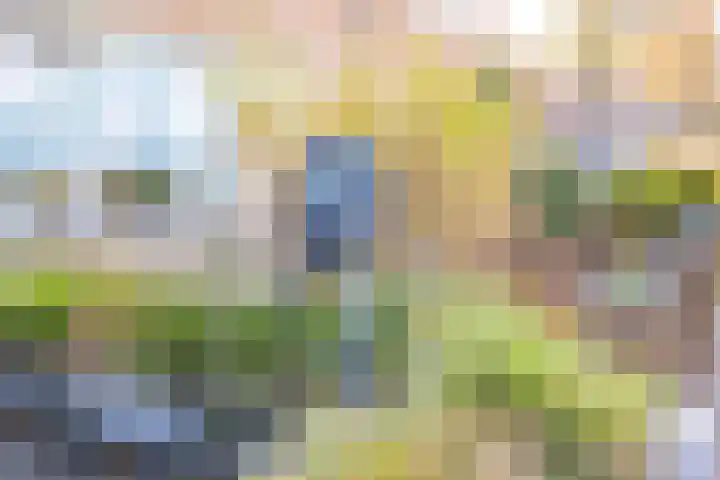 Kempenlaan 5 Heemskerk thumbnail 5