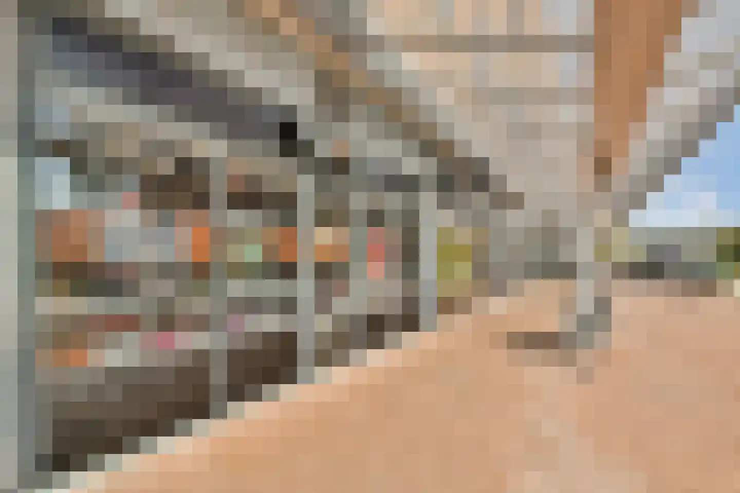 Kempenlaan 87 Amsterdam thumbnail 34