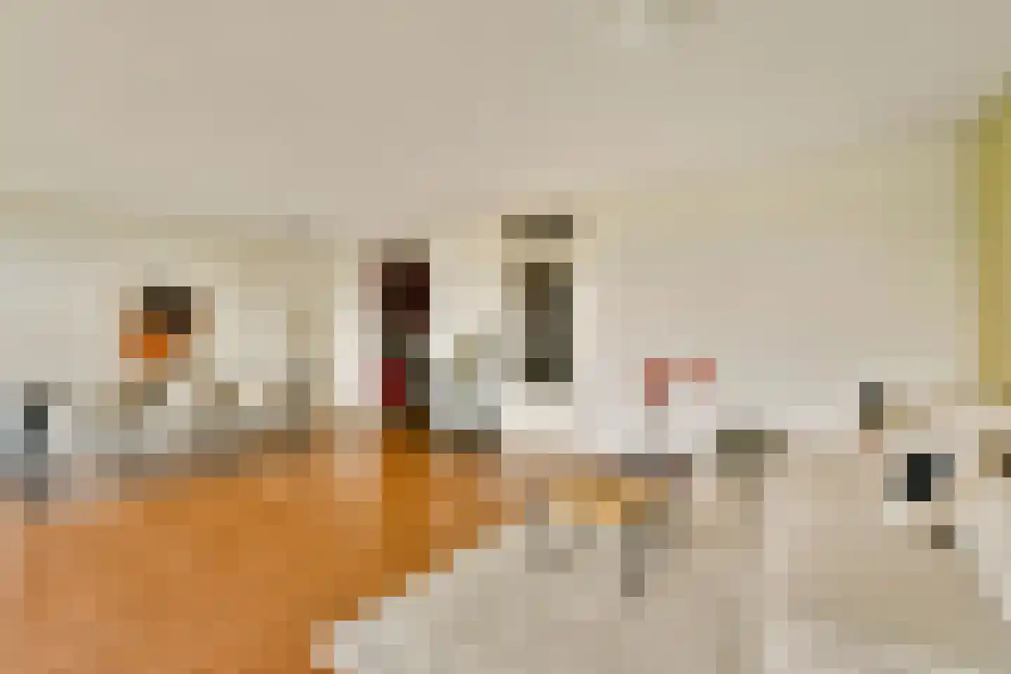 Kempenlaan 87 Amsterdam thumbnail 9