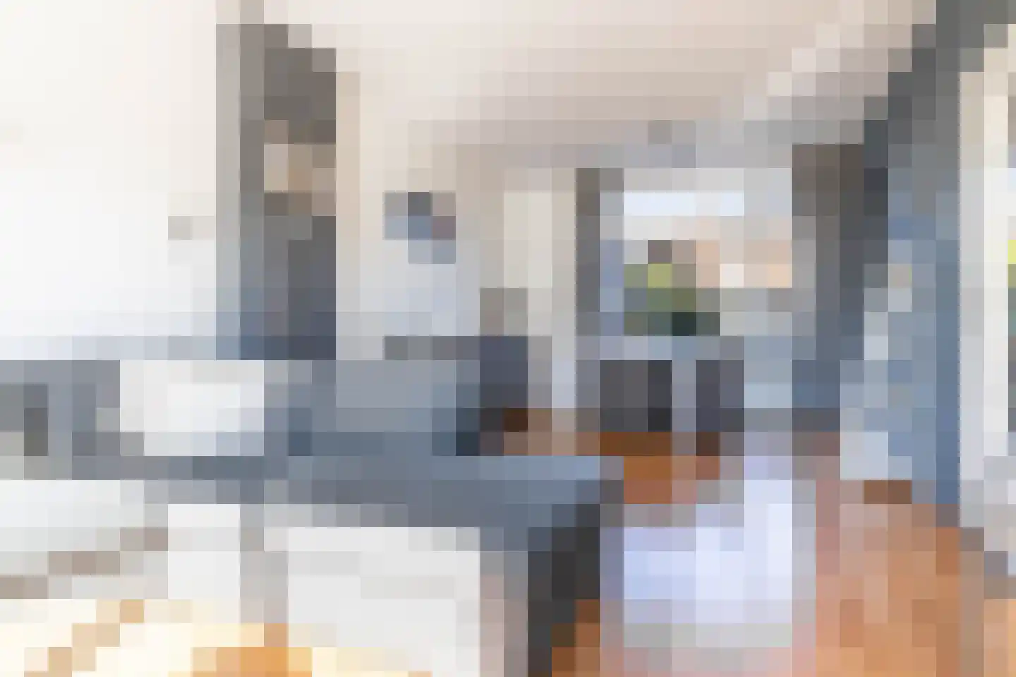 Kempenlaan 9 Stadskanaal thumbnail 10