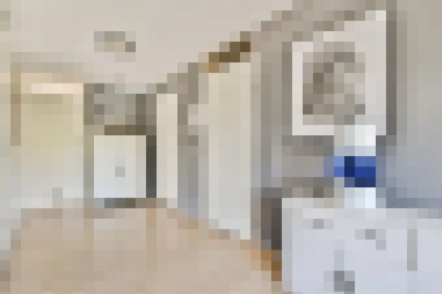 Kempenlaan 91 Amsterdam thumbnail 11