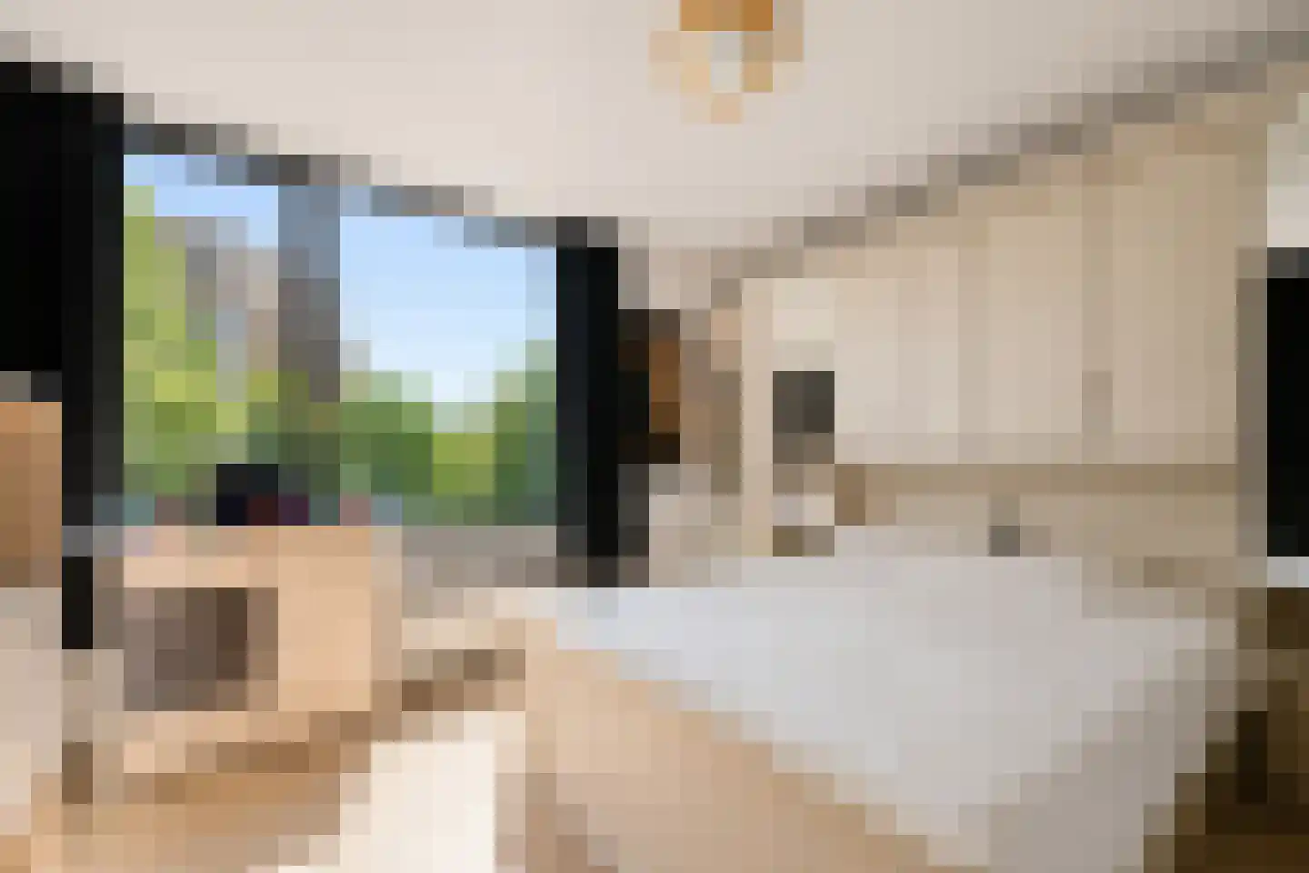 Kempenlaan 91 Amsterdam thumbnail 17
