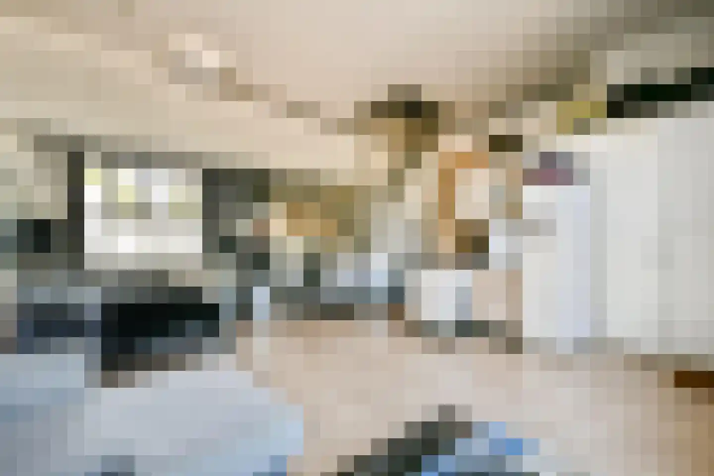 Kempenlaan 91 Amsterdam thumbnail 23