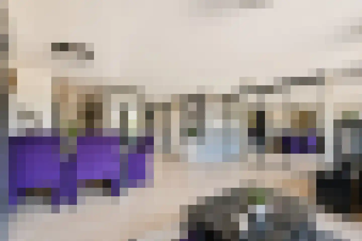 Kempenlaan 91 Amsterdam thumbnail 5