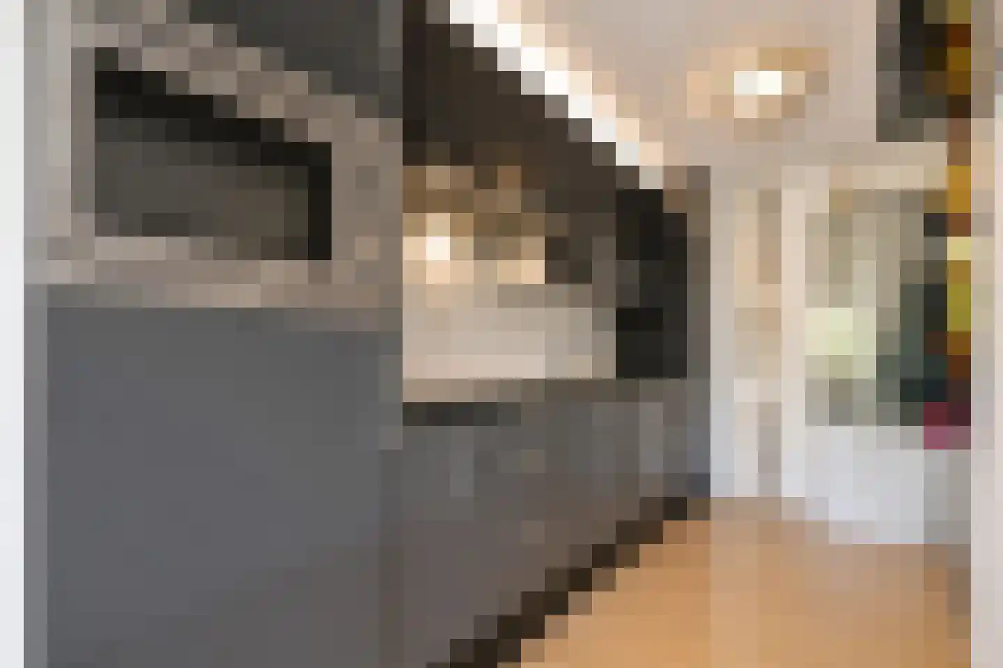 Kempenlaan 91 Amsterdam thumbnail 8