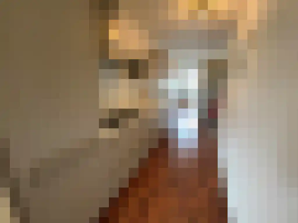 Kempenlaan Amsterdam thumbnail 4