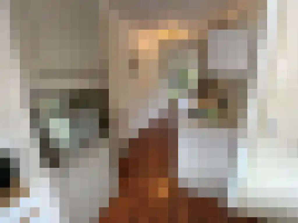 Kempenlaan Amsterdam thumbnail 5