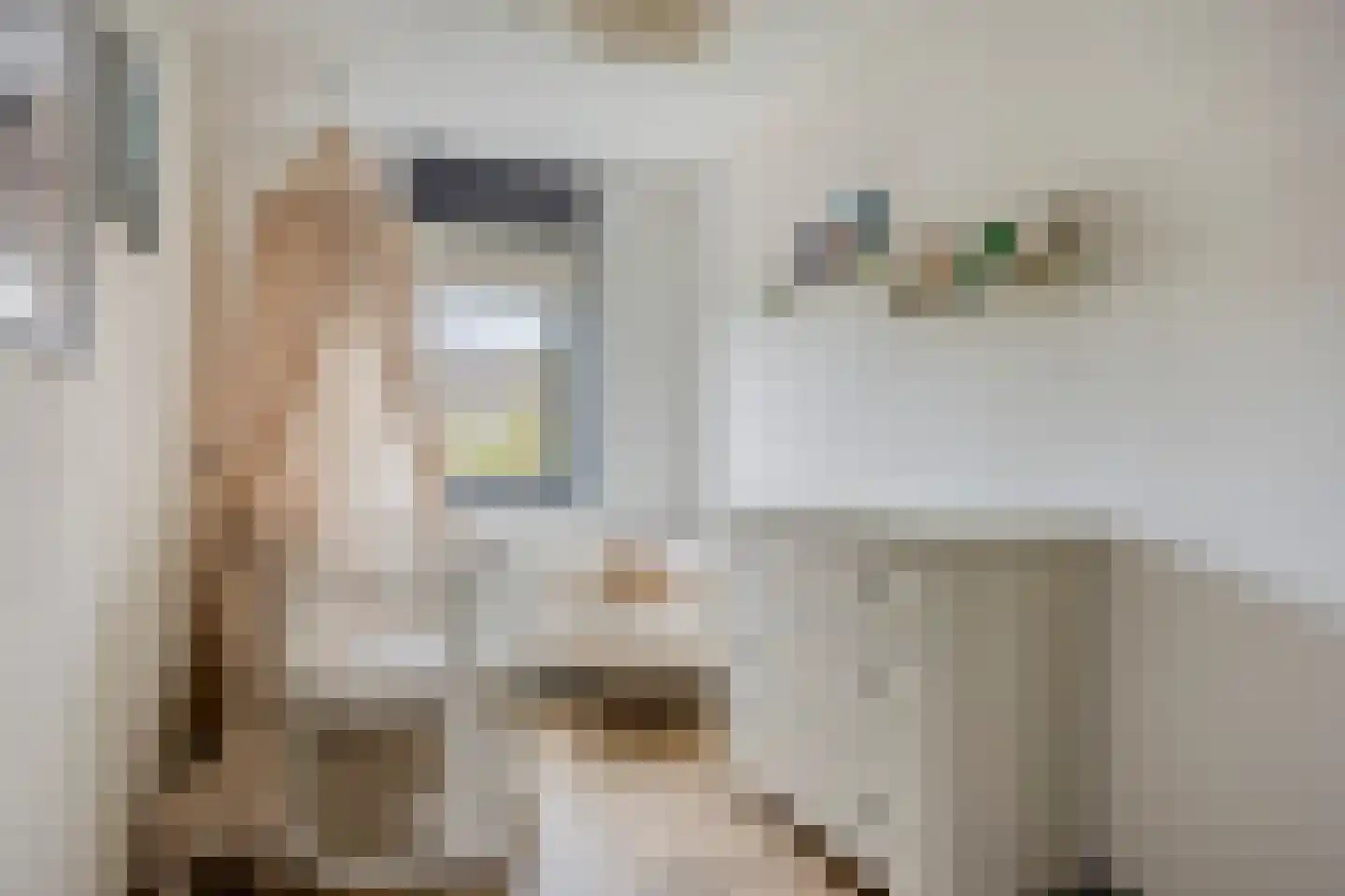 Kempenland 10 Emmeloord thumbnail 31