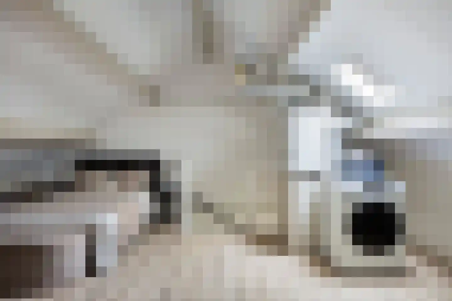 Kempenland 10 Emmeloord thumbnail 35