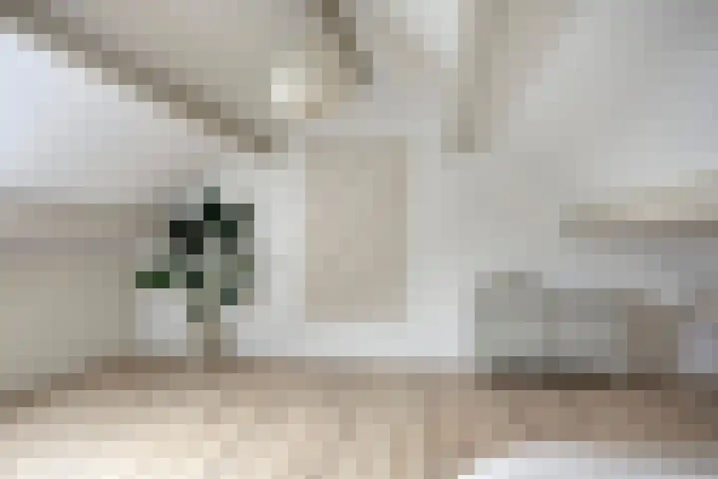 Kempenland 10 Emmeloord thumbnail 36