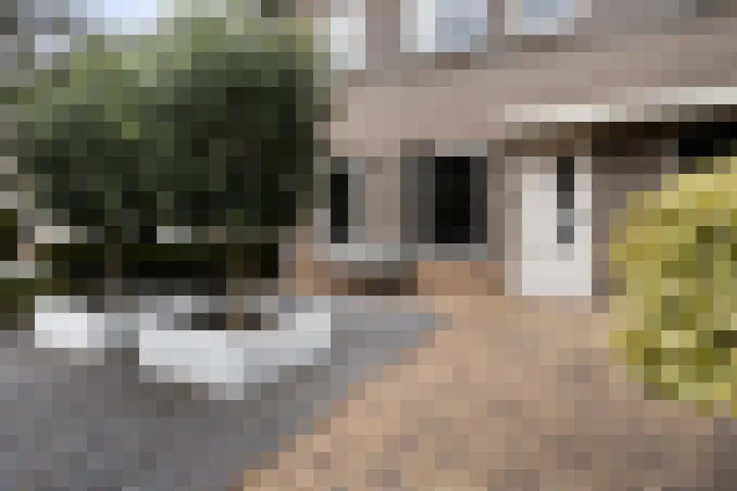 Kempenland 10 Emmeloord thumbnail 39