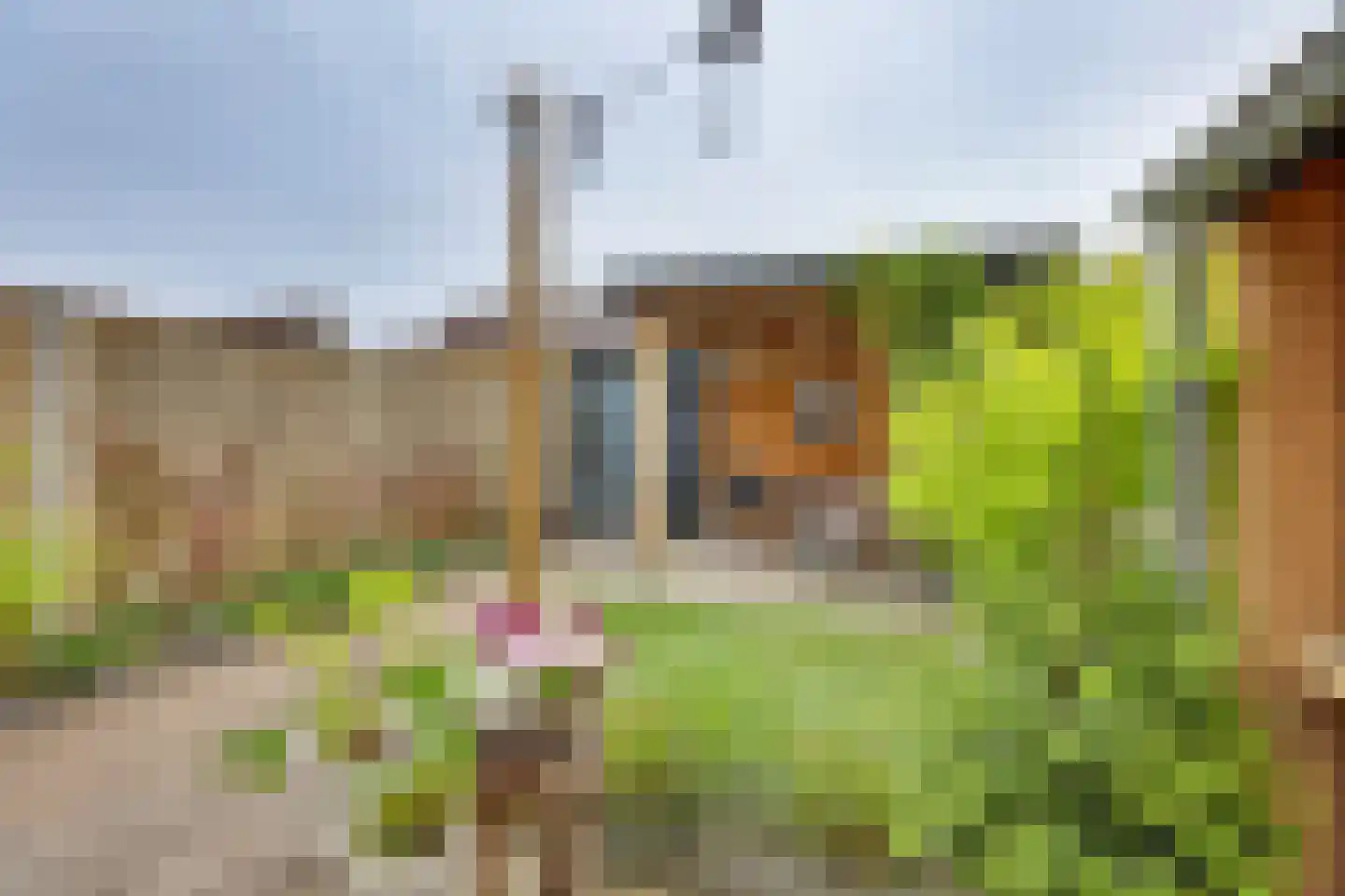 Kempenland 17 Emmeloord thumbnail 16