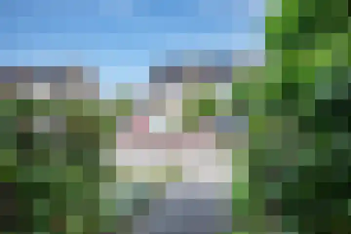 Kempenland 21 Emmeloord thumbnail 26