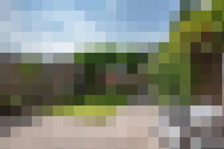 Kempenland 21 Emmeloord thumbnail 30