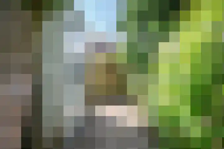 Kempenland 21 Emmeloord thumbnail 31