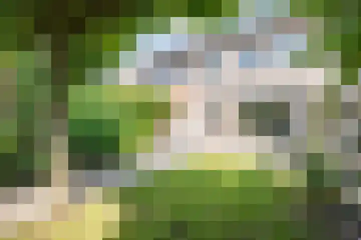 Kempenland 21 Emmeloord thumbnail 34