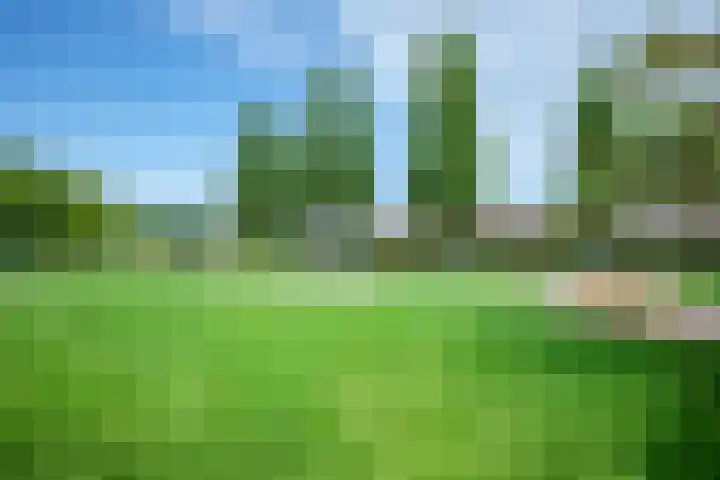 Kempenland 21 Emmeloord thumbnail 36