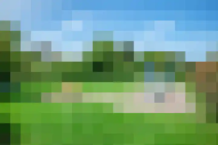 Kempenland 21 Emmeloord thumbnail 37
