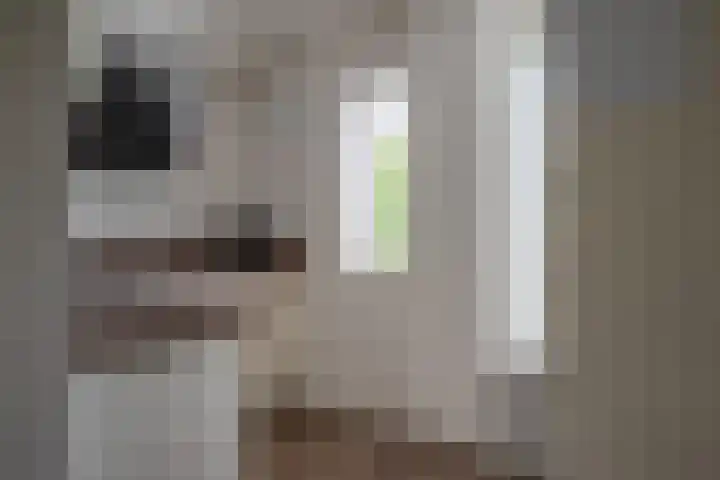 Kempenland 21 Emmeloord thumbnail 8