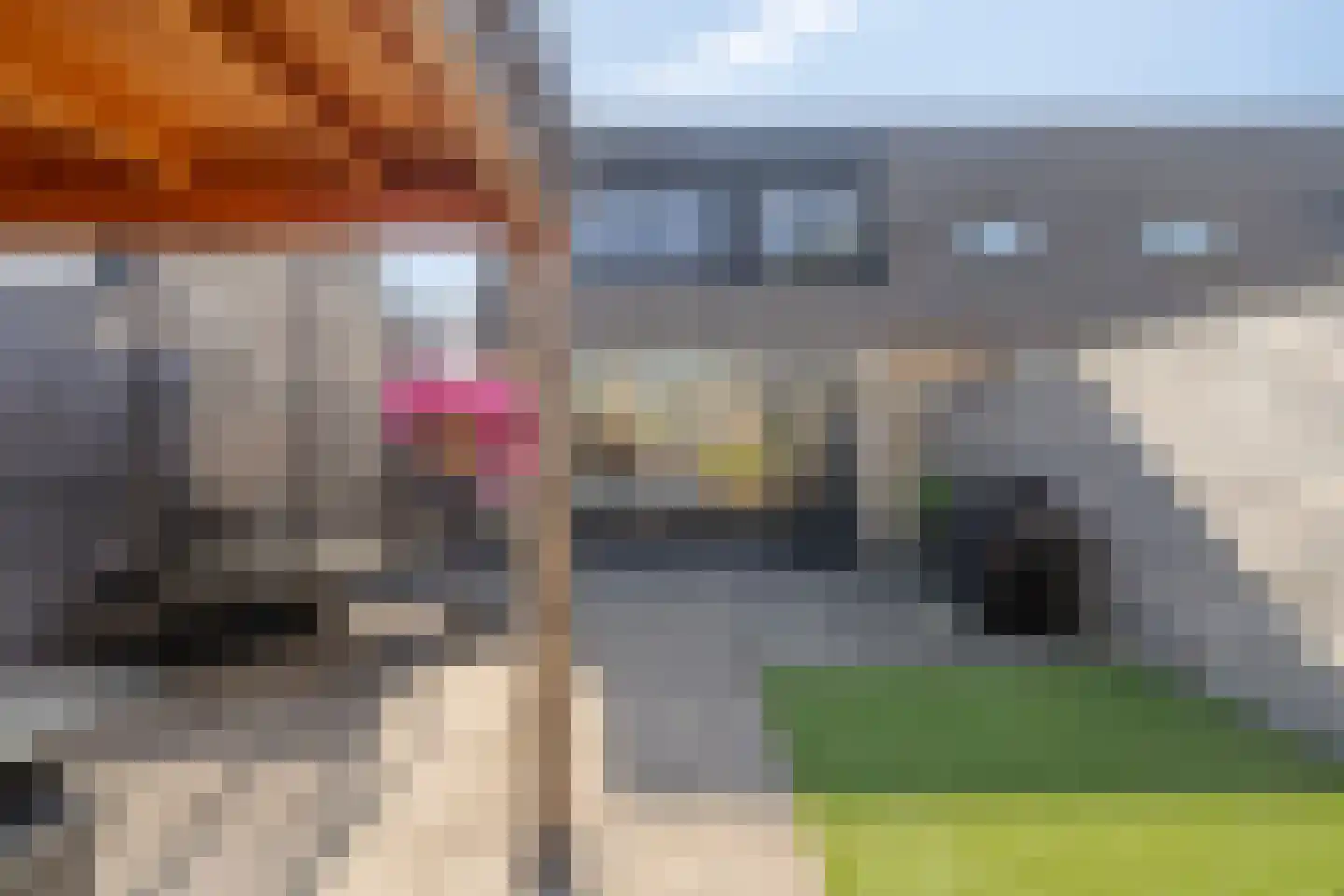 Kempenland 25 Purmerend thumbnail 30