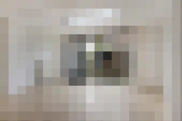 Kempenland 4 Riel thumbnail 16