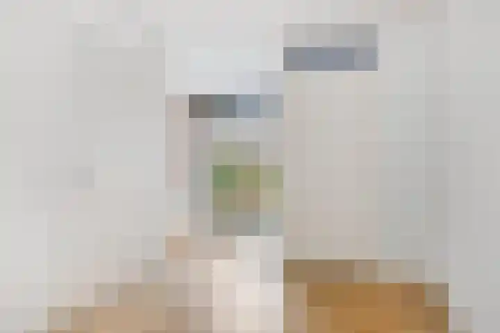 Kempenland 4 Riel thumbnail 18