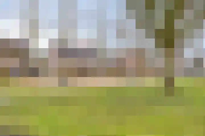 Kempenland 4 Riel thumbnail 39