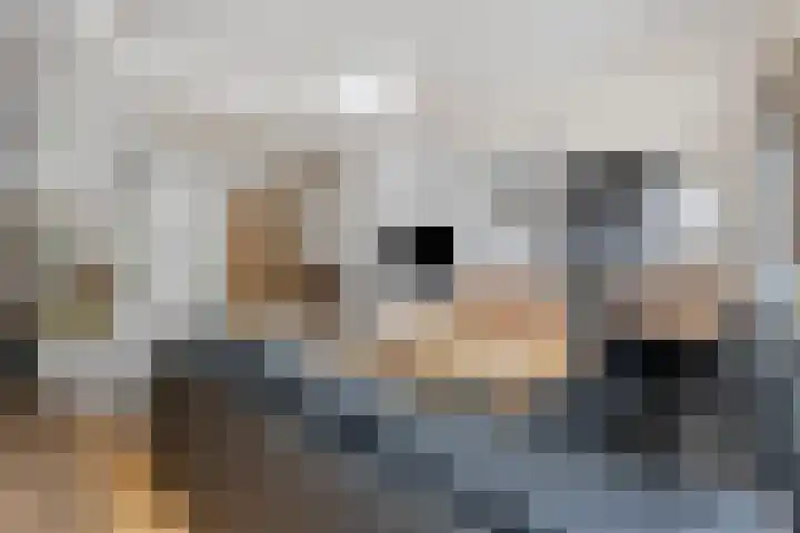 Kempenland 6 Riel thumbnail 10