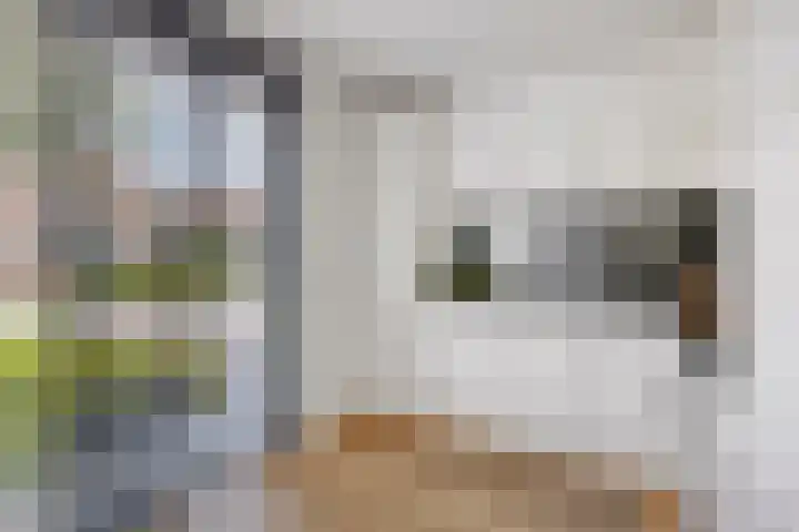 Kempenland 6 Riel thumbnail 20