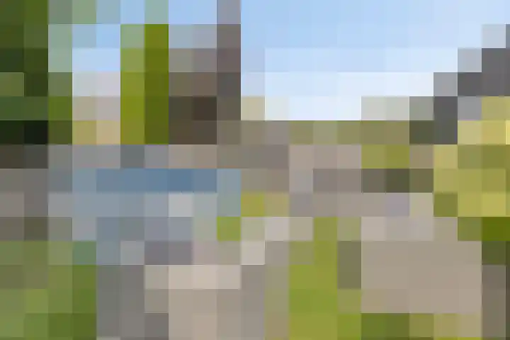 Kempenland 6 Riel thumbnail 37