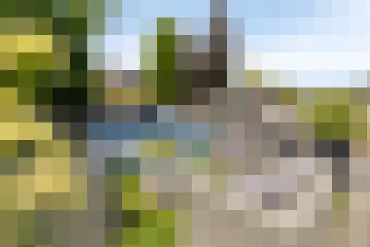 Kempenland 6 Riel thumbnail 38