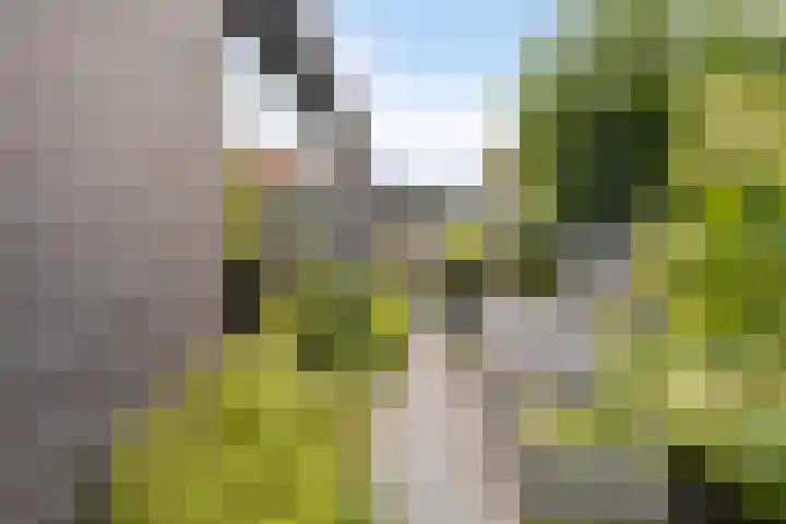 Kempenland 6 Riel thumbnail 39