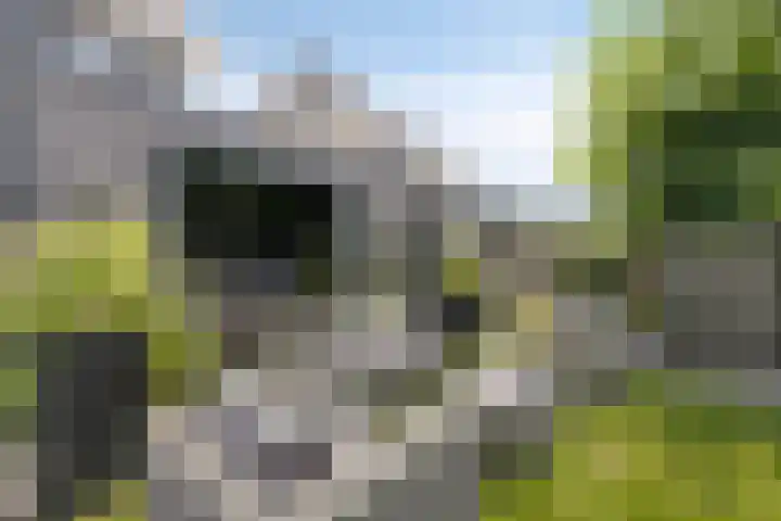 Kempenland 6 Riel thumbnail 8