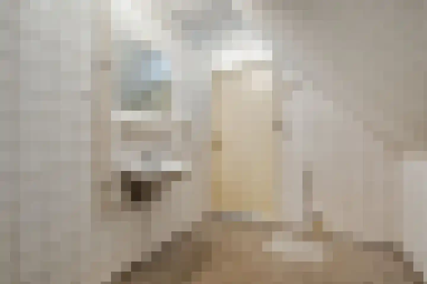 Kempenland 8 Purmerend thumbnail 22