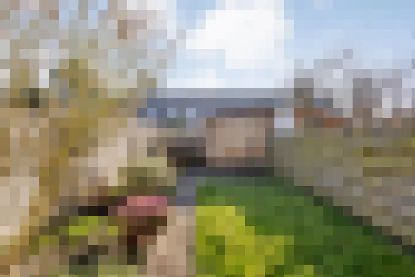 Kempenland 8 Purmerend thumbnail 29
