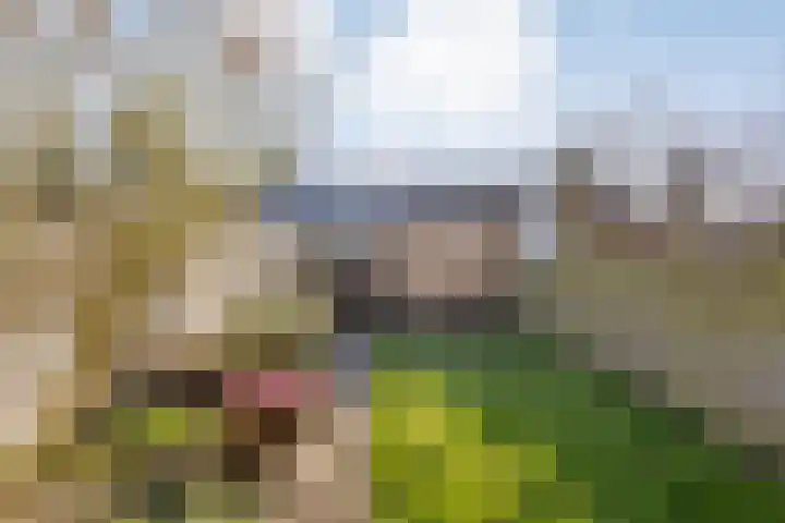 Kempenland 8 Purmerend thumbnail 29