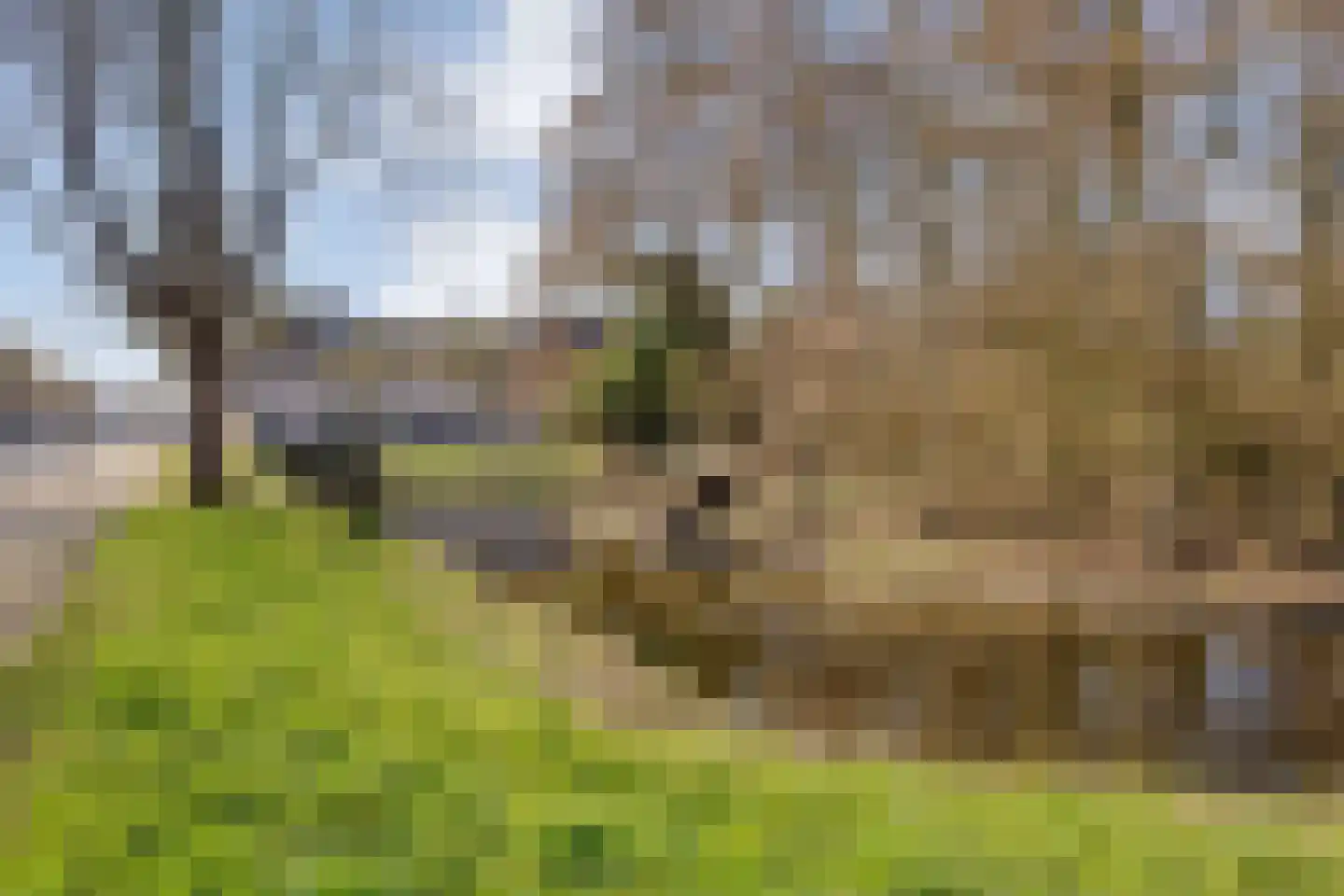 Kempenland 8 Purmerend thumbnail 34