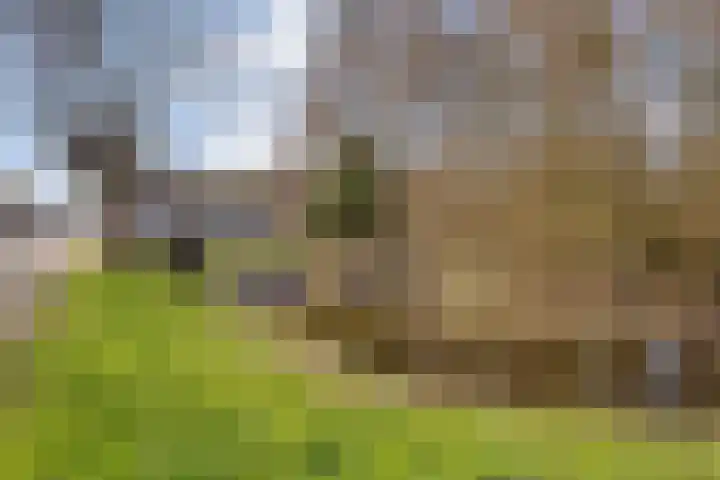 Kempenland 8 Purmerend thumbnail 34
