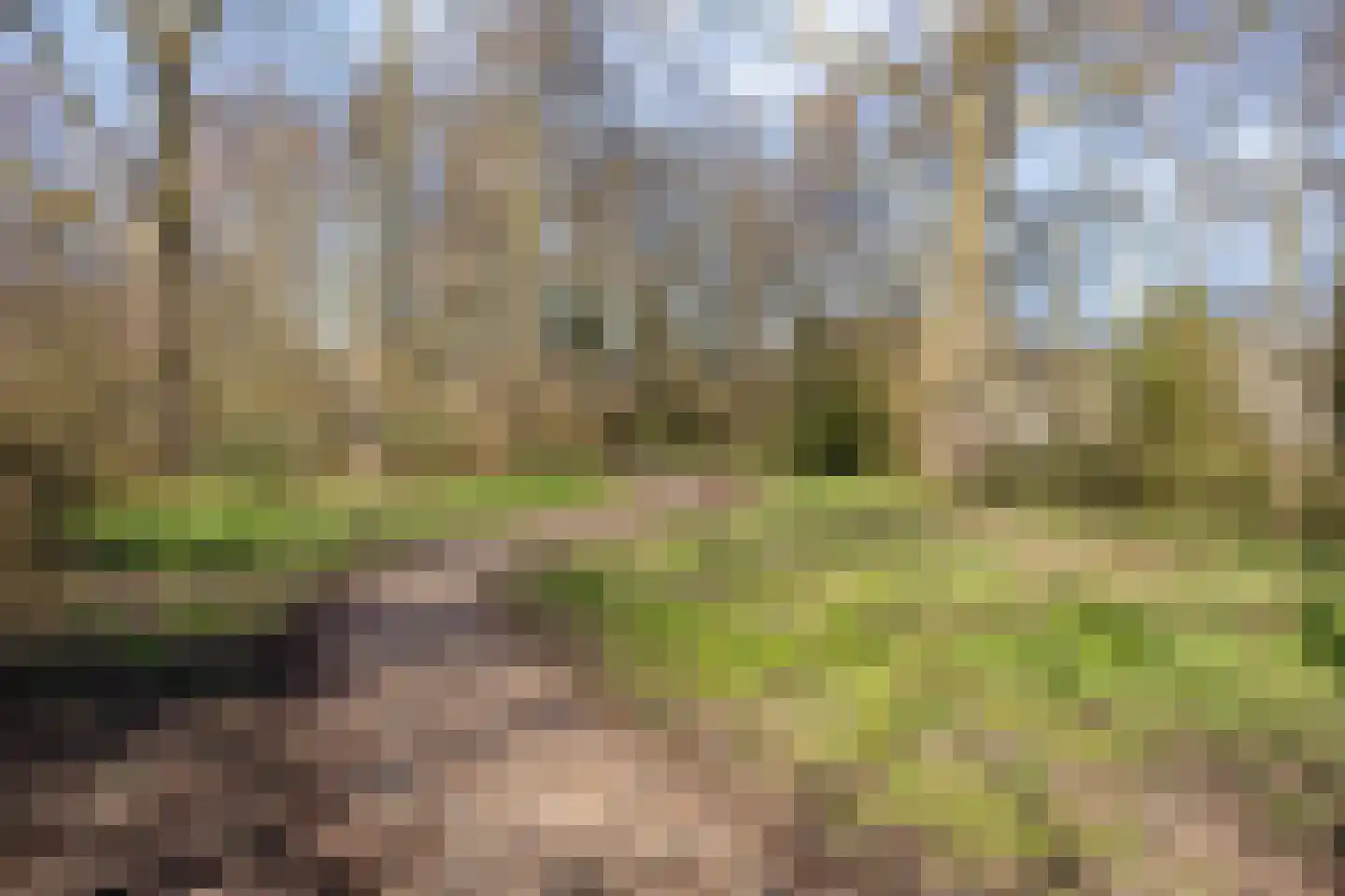 Kempenland 8 Purmerend thumbnail 35
